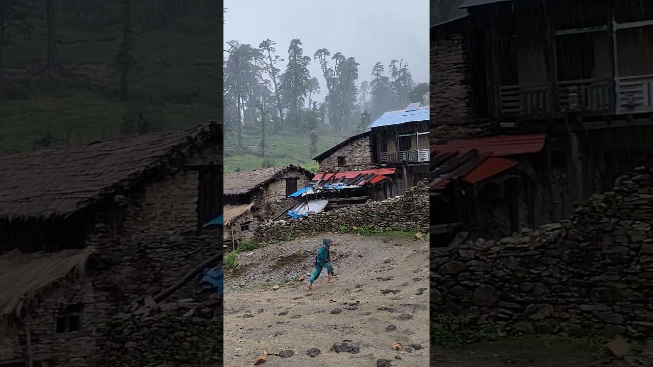 Heavy rain in western Nepal #shorts #rurallifenepal #villagekofe #nepalivillage #rainyseason #fyp
