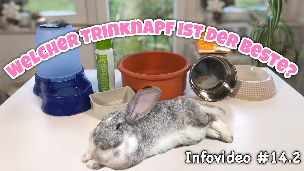 Trinknapf für Kaninchen | Infovideo