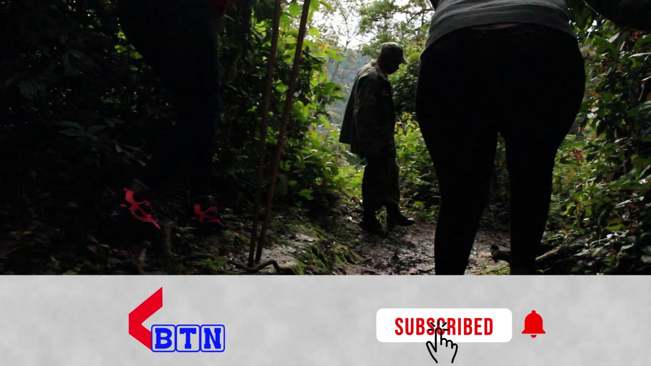 TEMBERA NA BTN / Menya ibyiza nyaburanga byari byarahishwe mu ishyamba rya Nyungwe