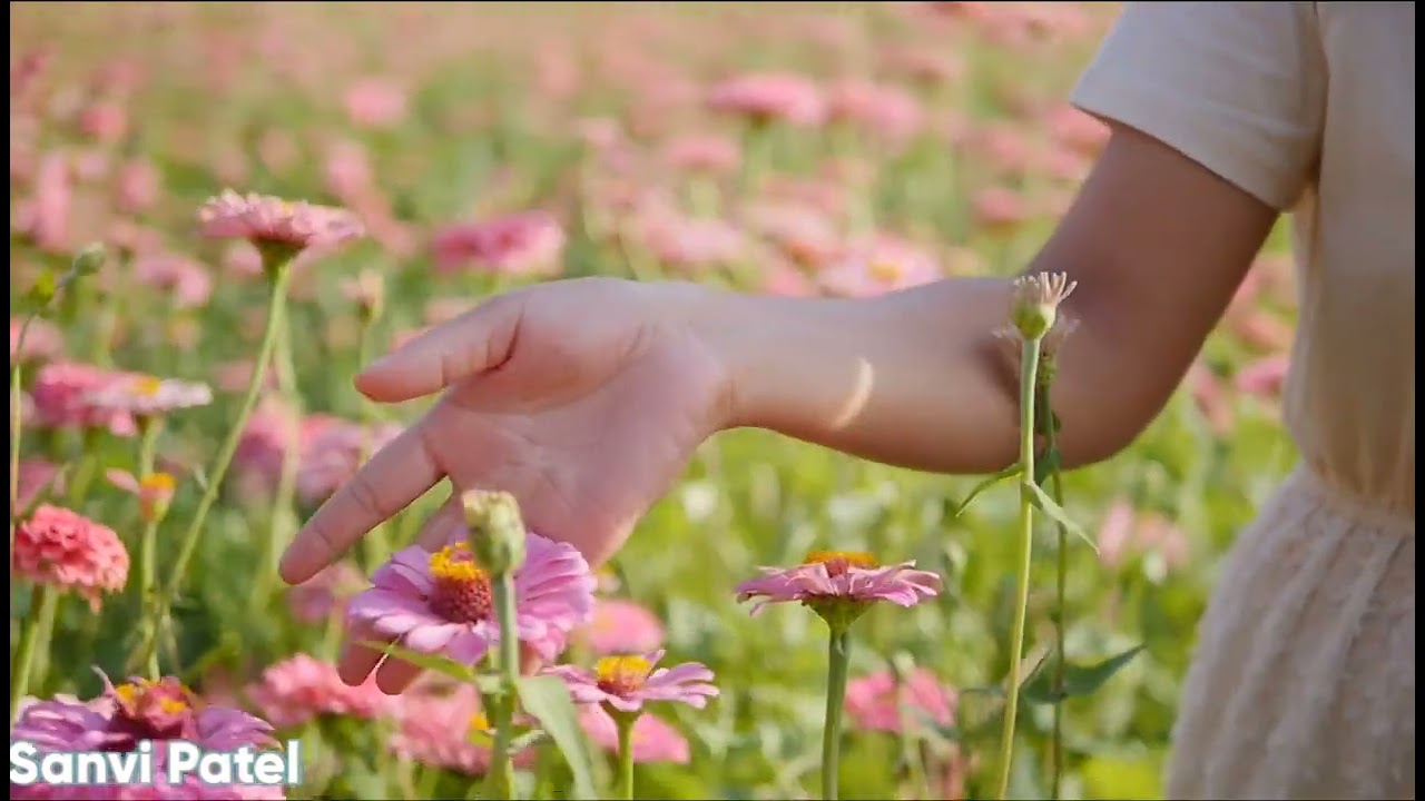 Woman Flowers Plants Garden Nature || Mahila Phool Paudhe Gaardan Prakrti || Phool Ka Bagicha