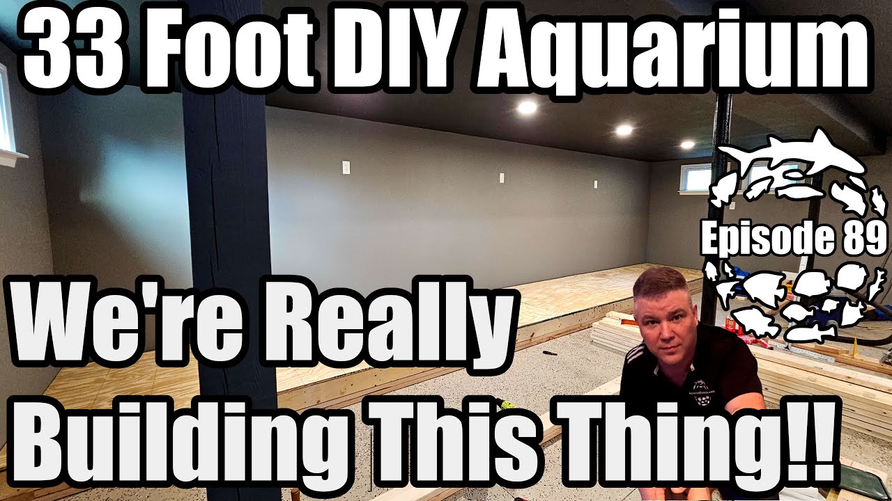 DIY Aquarium 33 Feet Long 4500 Gallons, It's a Monster!