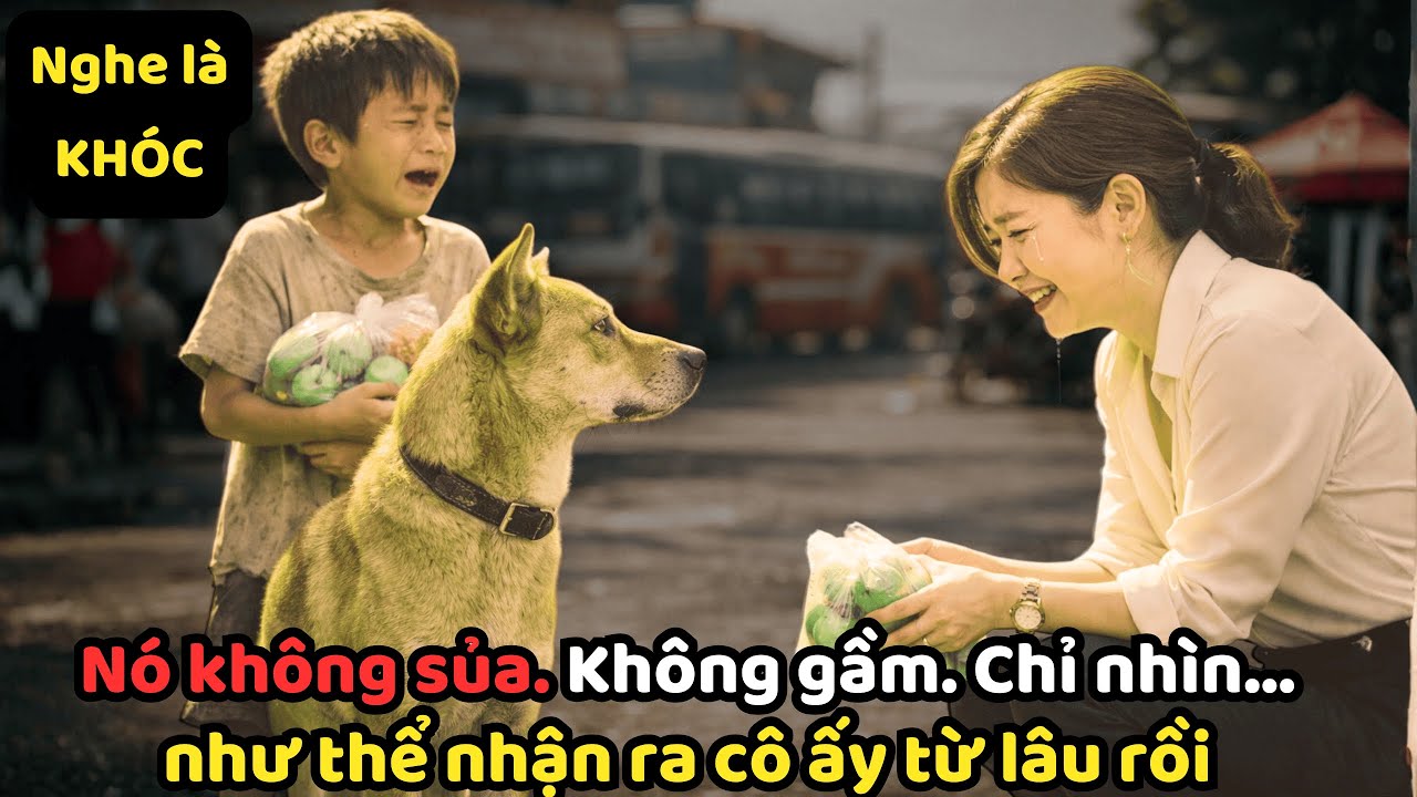 CHÚ CHÓ của CẬU BÉ NGHÈO cứ nhìn chằm chằm NỮ TỶ PHÚ - mảnh giấy rơi ra KHIẾN NỮ CEO BẬT KHÓC