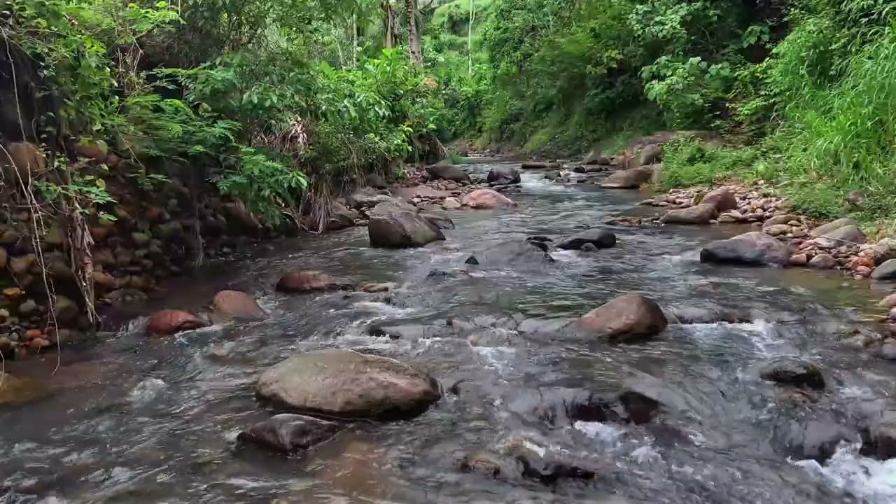 Serene Forest River Sounds for Stress Relief, Study and Meditation