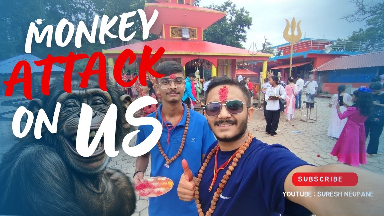 Monkey Attack On US || Daunne Vlog With Family || Monkey Tample near Bardaghat || Suresh Neupane