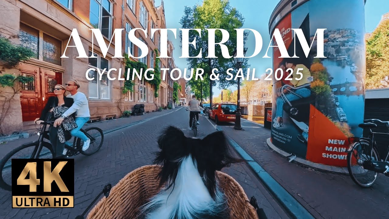 Amsterdam Relaxing Cycling City Tour 4K + Sail Amsterdam 2025 - with my Papillon Dog in Bike Basket