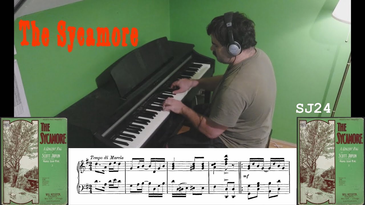 The Sycamore (Scott Joplin, 1904) [SJ24]