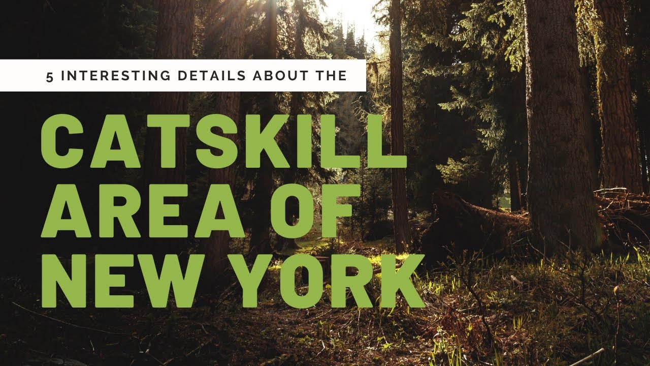 5 Interesting Details about the New York Catskills@catskillmountainhomebody #catskills #newyork
