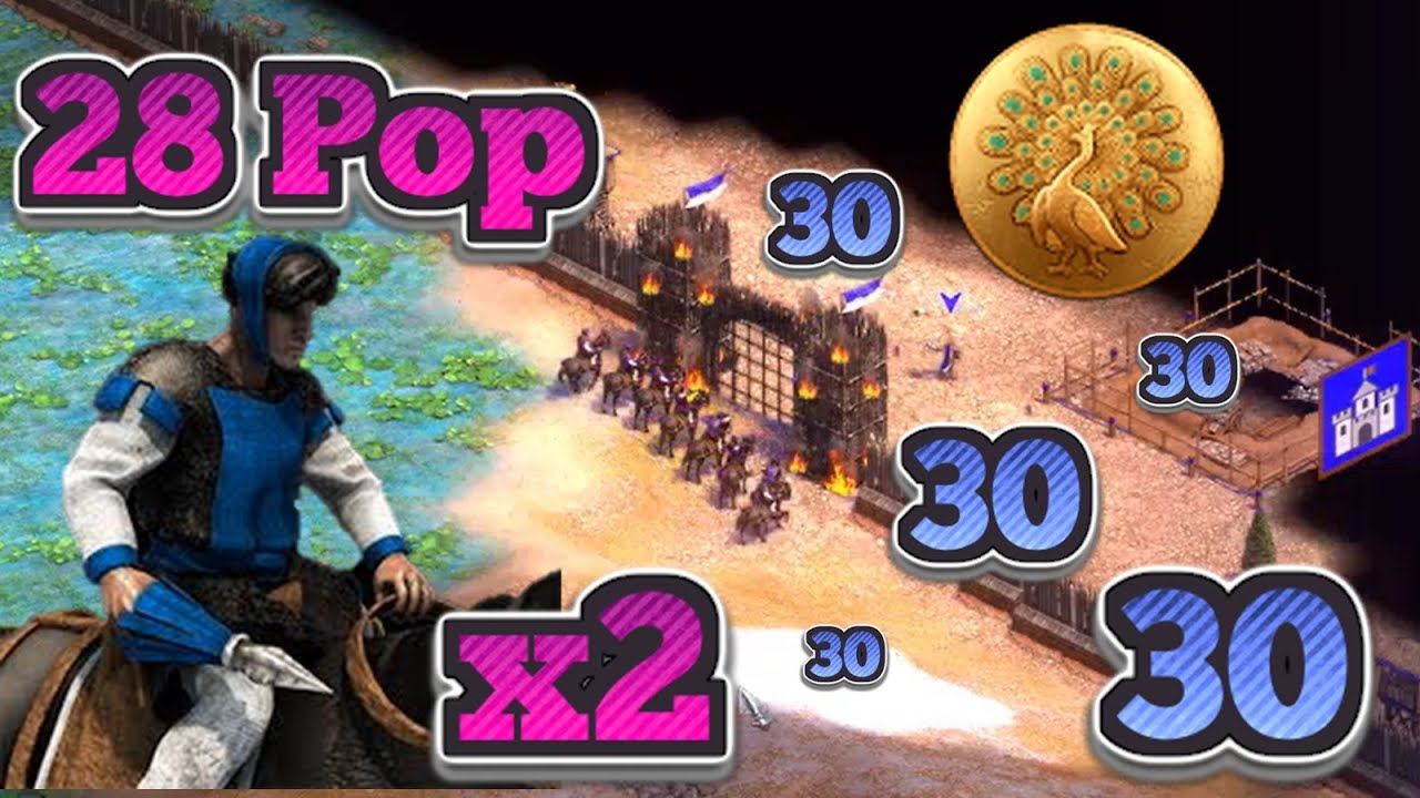 Double Castle Arambai on Mega Random! Arambai are just Good even after the Nerf!