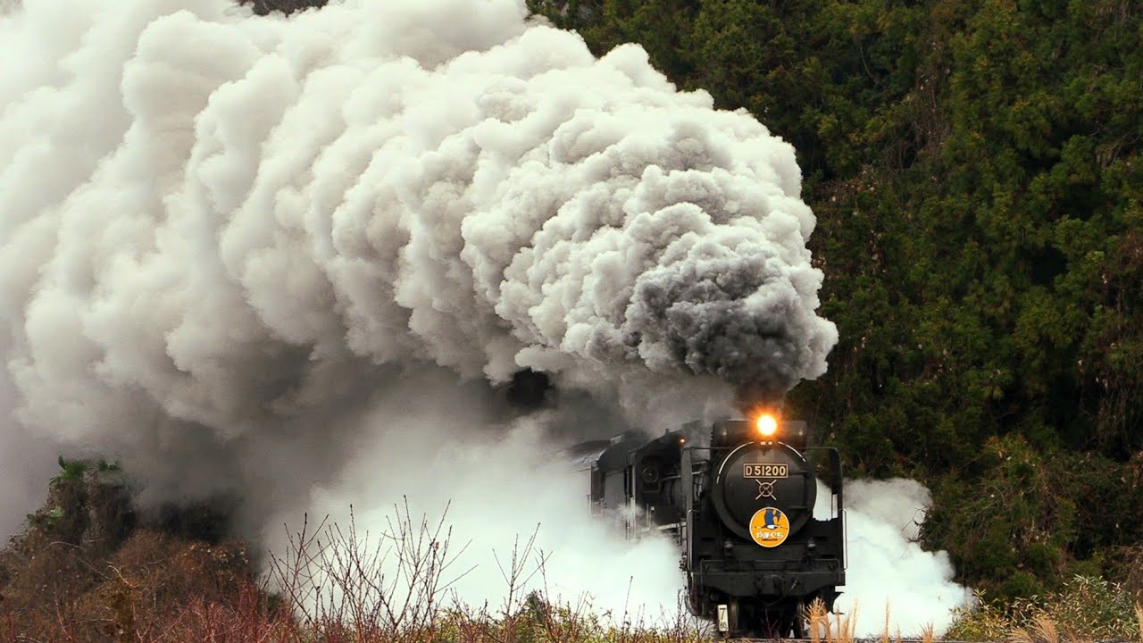 【冬蒸機】SLやまぐち号 D51200号機 　2025.12　Japanese Steam Locomotive D51 【蒸気機関車】