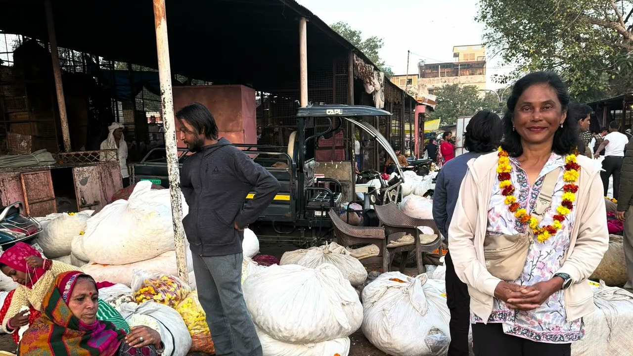 Day 31 A dawn tour of Jaipur 13 February 2026
