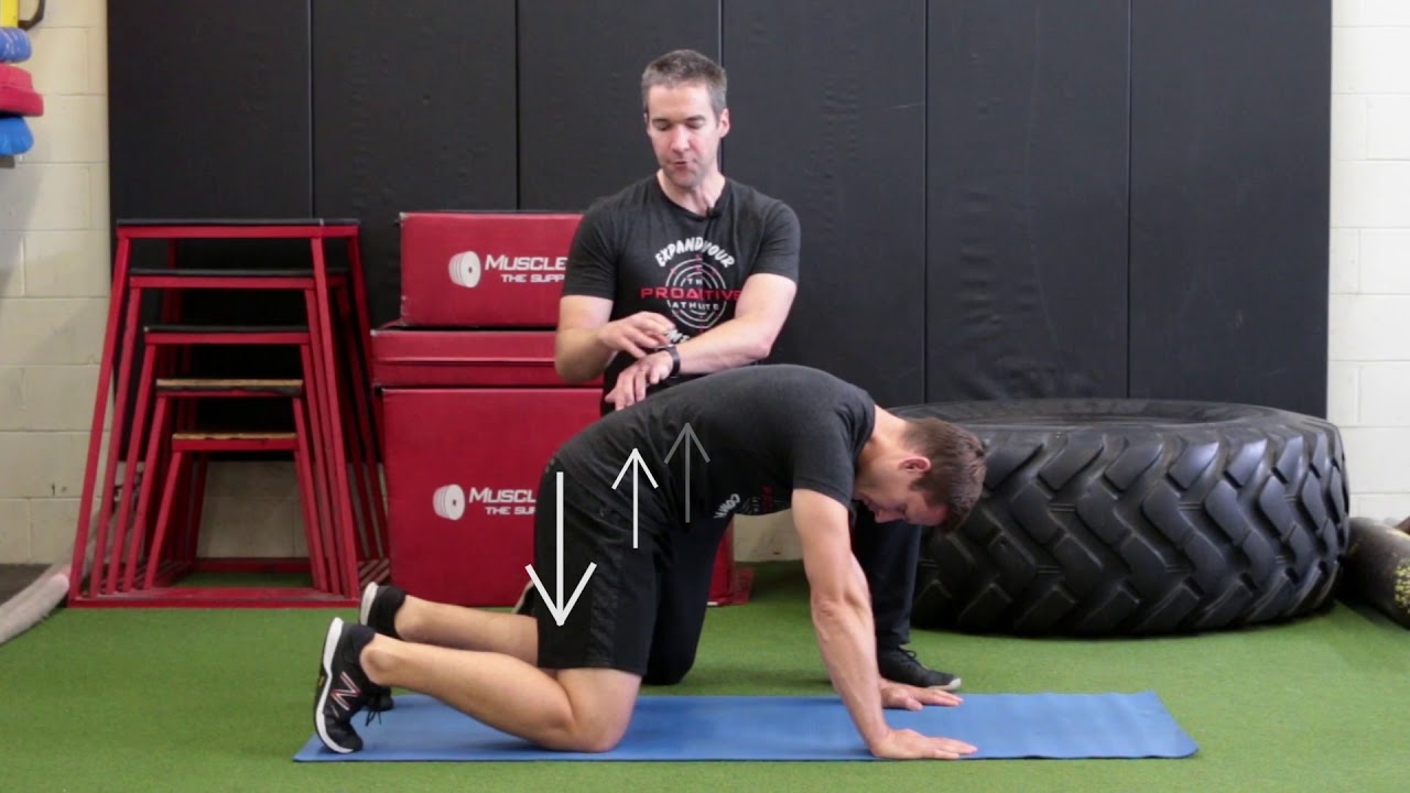 Segmental Cat Camel Exercise