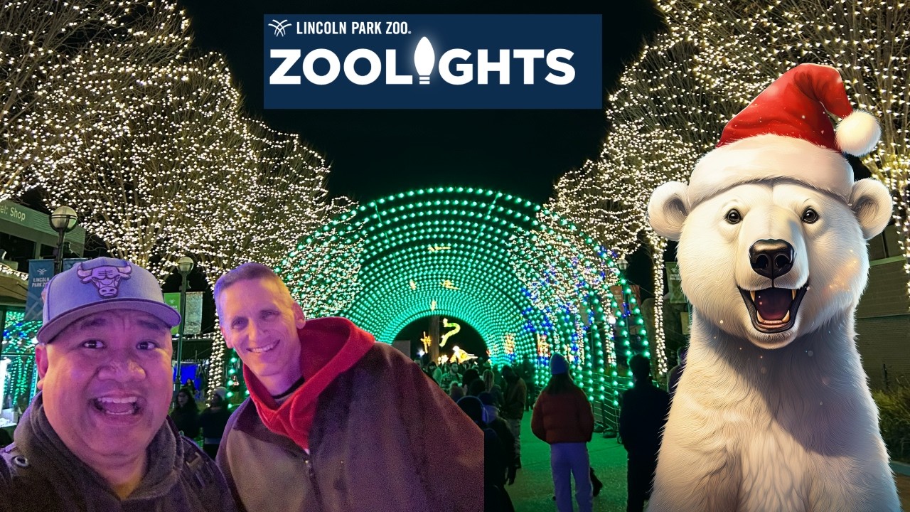 Is ZooLights at Lincoln Park Zoo Worth It?