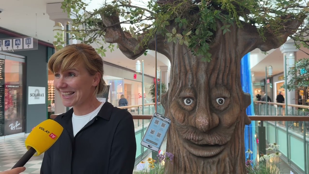 Gro&szlig;es Comeback - 28 Jahre alter Baum kehr in den Messepark zur&uuml;ck