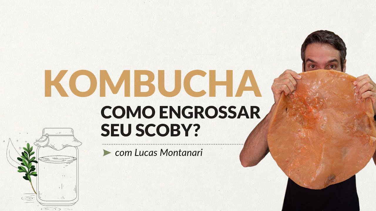 Como engrossar seu SCOBY?