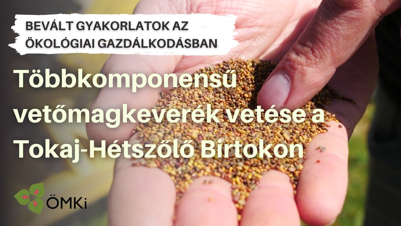 Többkomponensű vetőmagkeverék vetése a Tokaj-Hétszőlő Birtokon