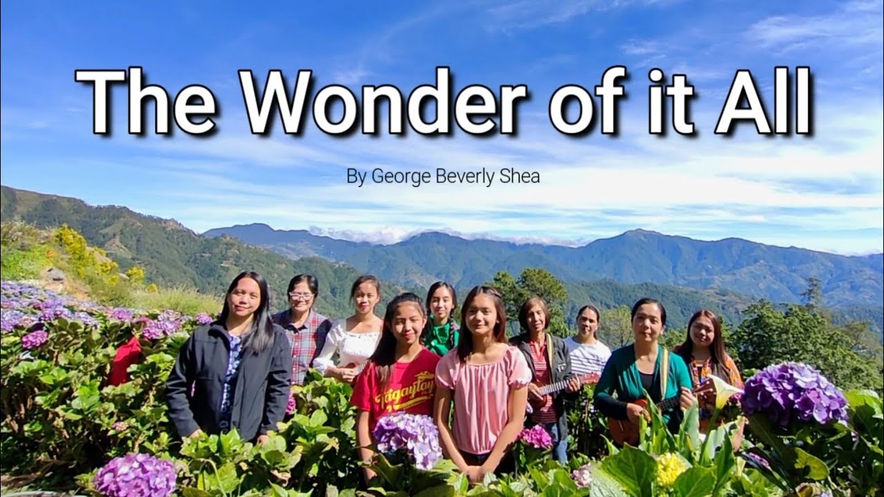 THE WONDER OF IT ALL