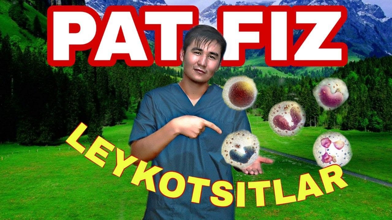 LEYKOTSITLAR PATOFIZIOLOGIYASI LEYKOTSITAR FORMULA YADRONING SILJISH INDEKSI YOSH VA YETUK NEYTROFIL