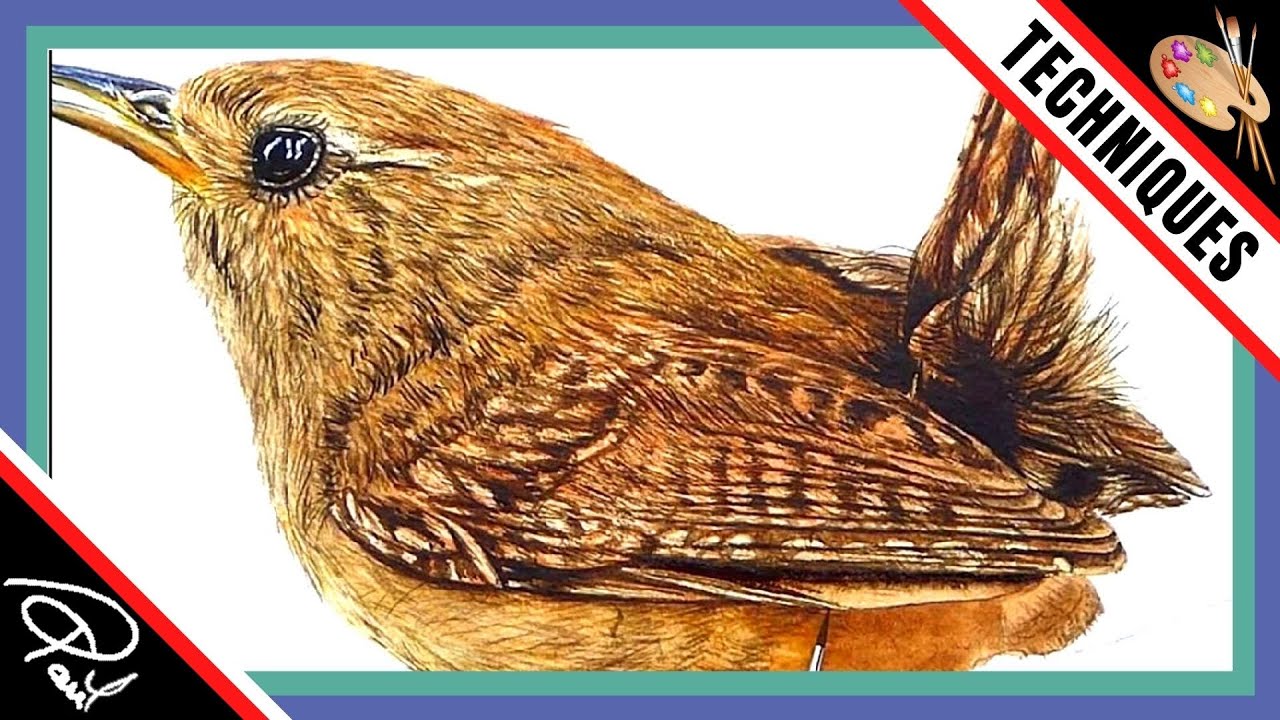 Watercolour Painting Tutorial - How To Paint Bird's Feathers
