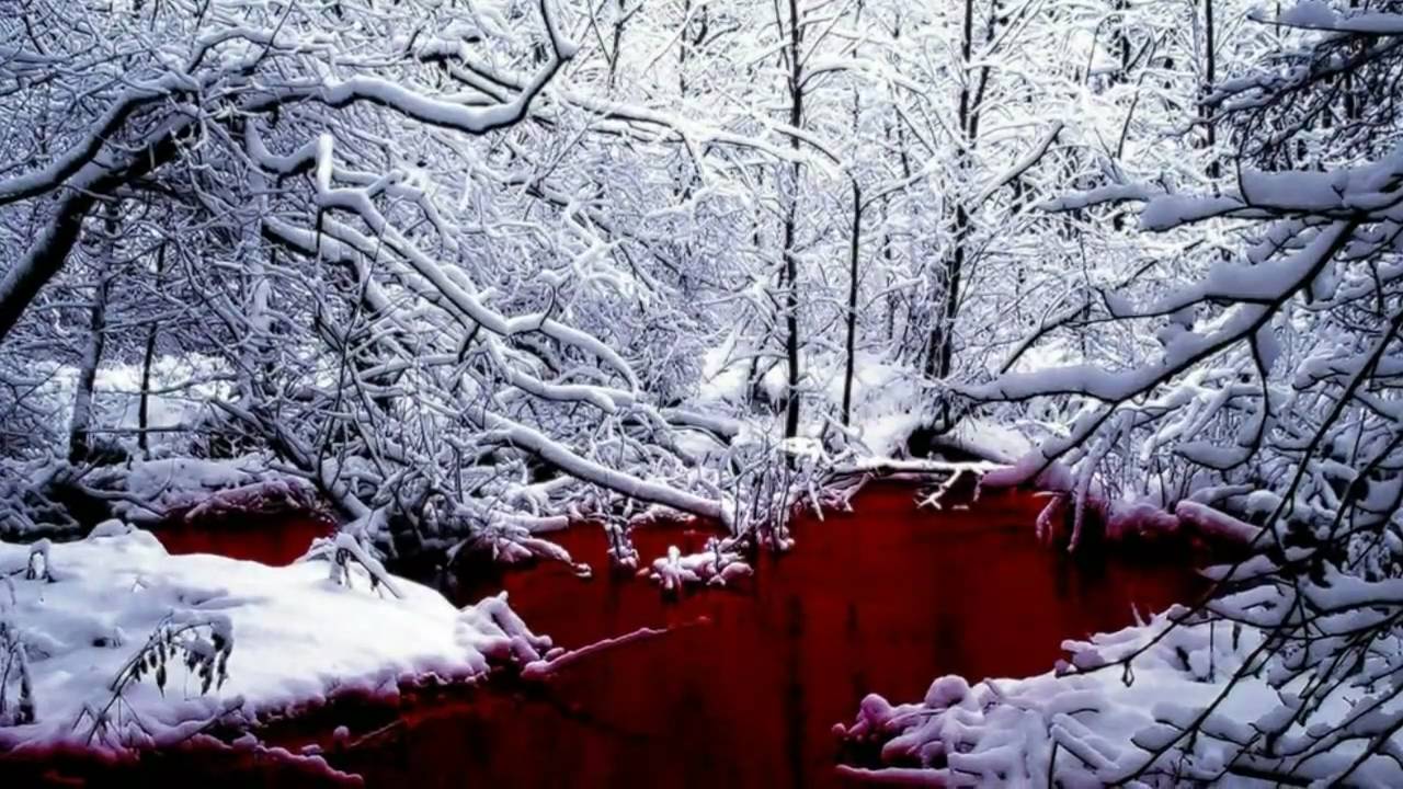 Dimmu Borgir: Perfection or Vanity (2001)