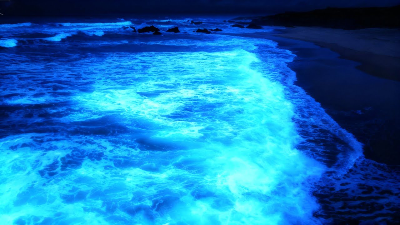 Late Night Ocean Waves for Quiet Minds