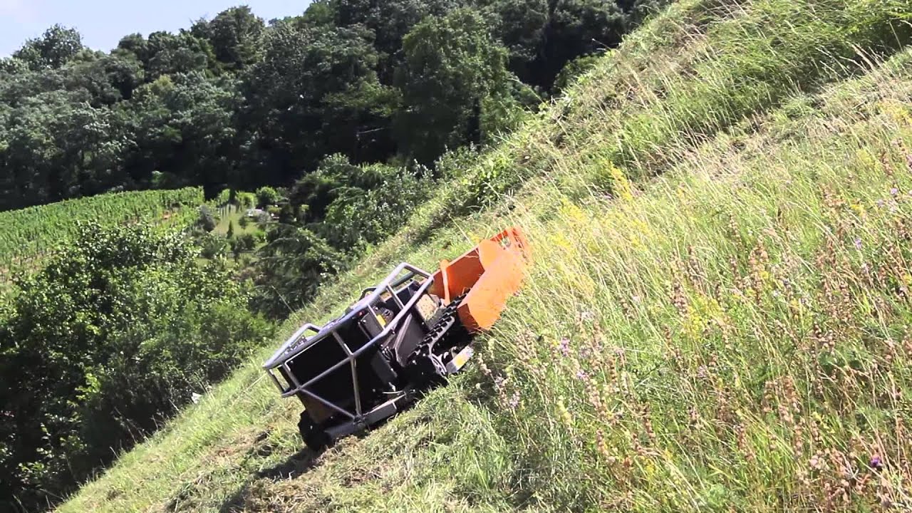 M&auml;hraupe AS 750 RC bei der Landschaftspflege
