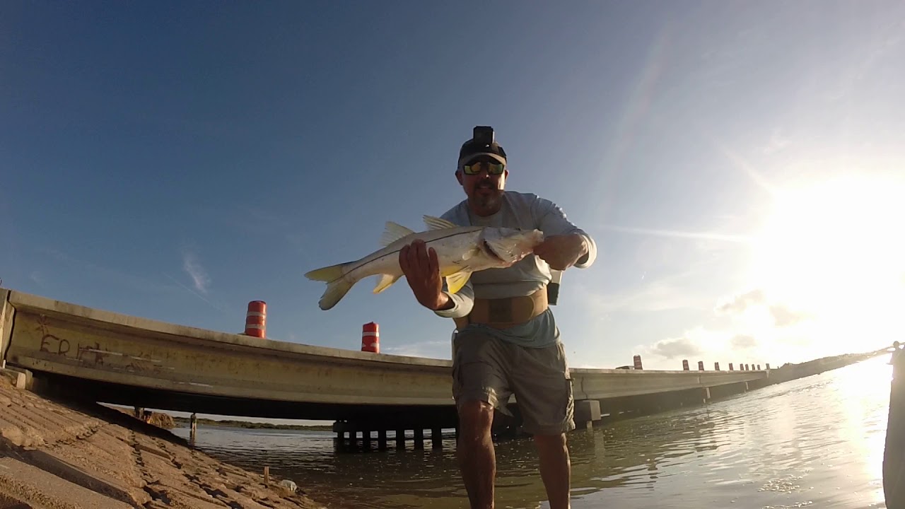 Gayman Bridge Fishing 13 Snook on Xrap and Yo-zuri 3DS