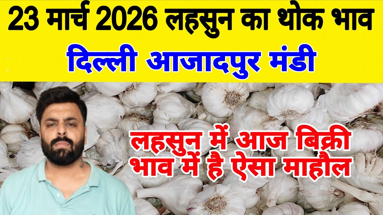 23 March 2026 | Today Garlic Market Price | Garlic Price The Shocking Prediction #mandirates