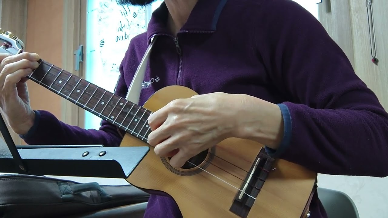 [우쿨렐레]눈(자이언 티& feat. 이문세)