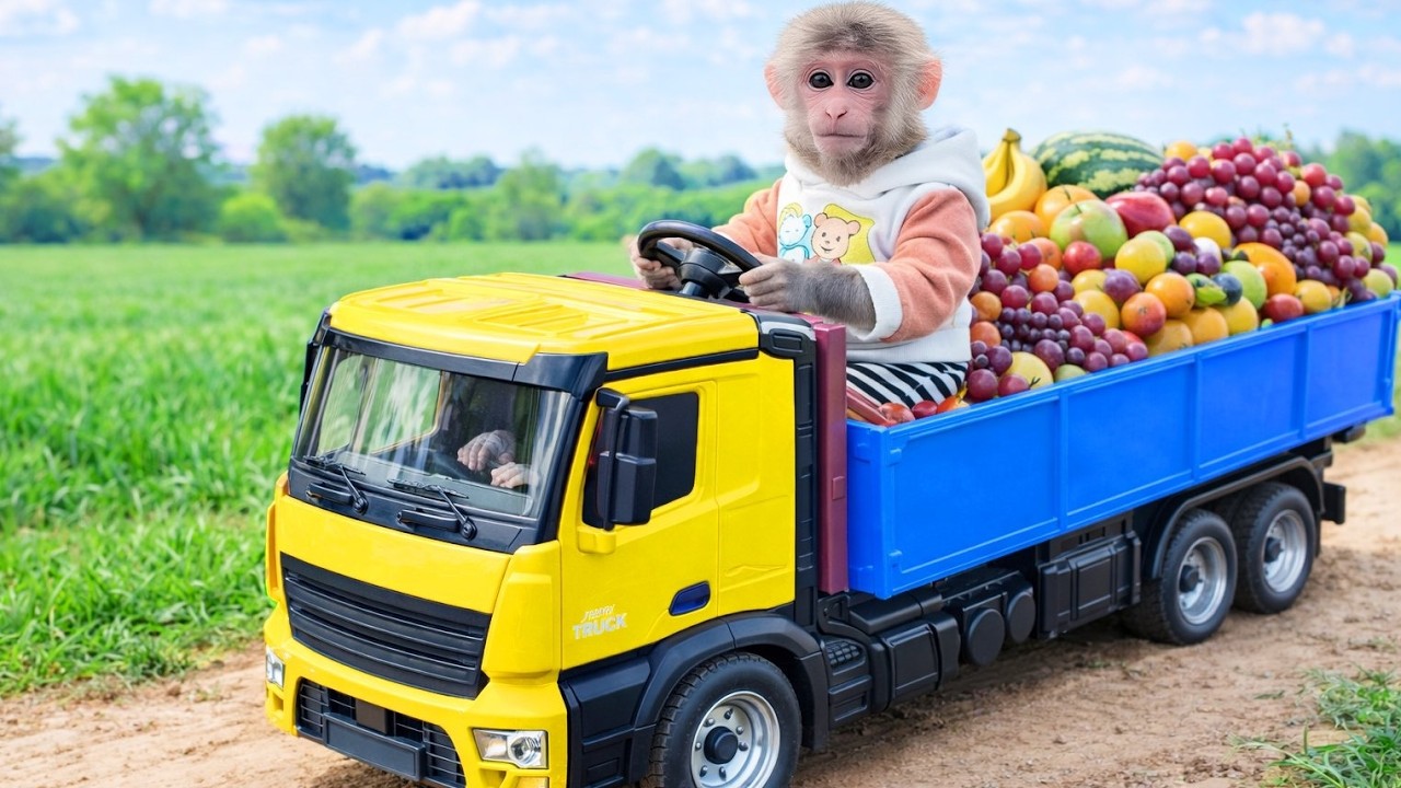 Bibi Trabaja sin Descanso para Hacer su Jardín Más Verde 😋🥰🙉