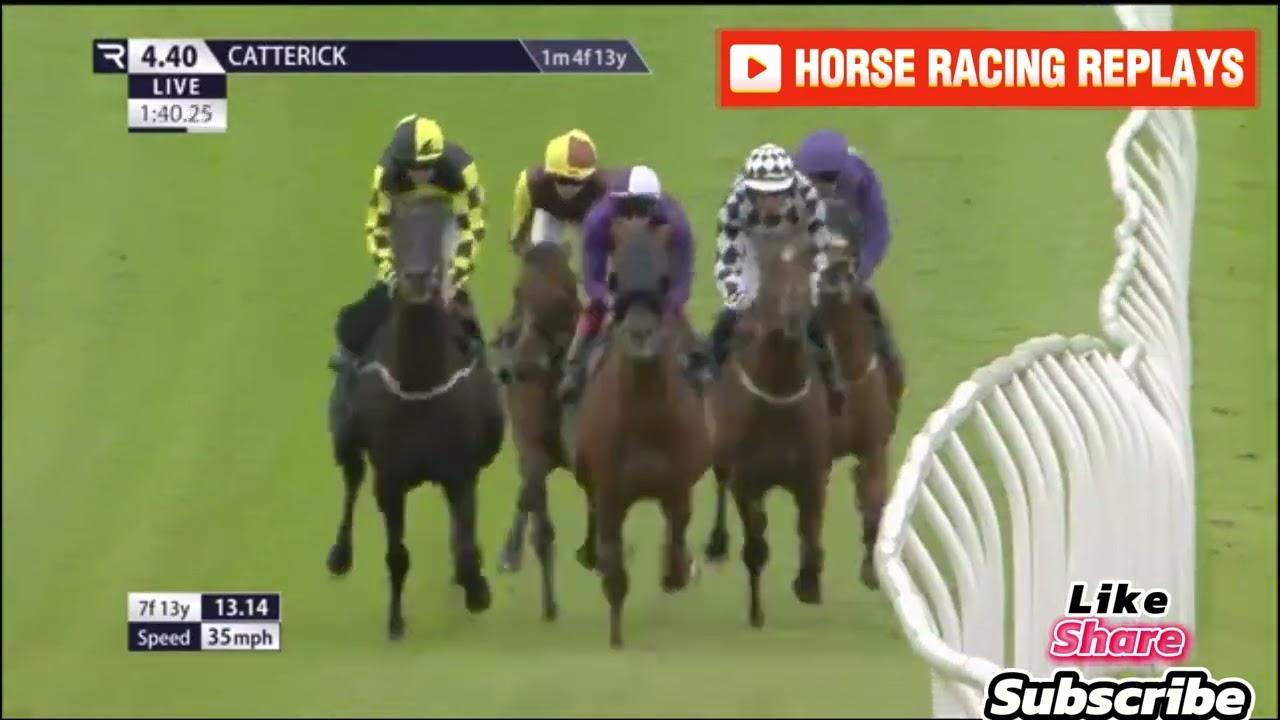 Furzig / 5 Race Catterick 24 Jul 2024