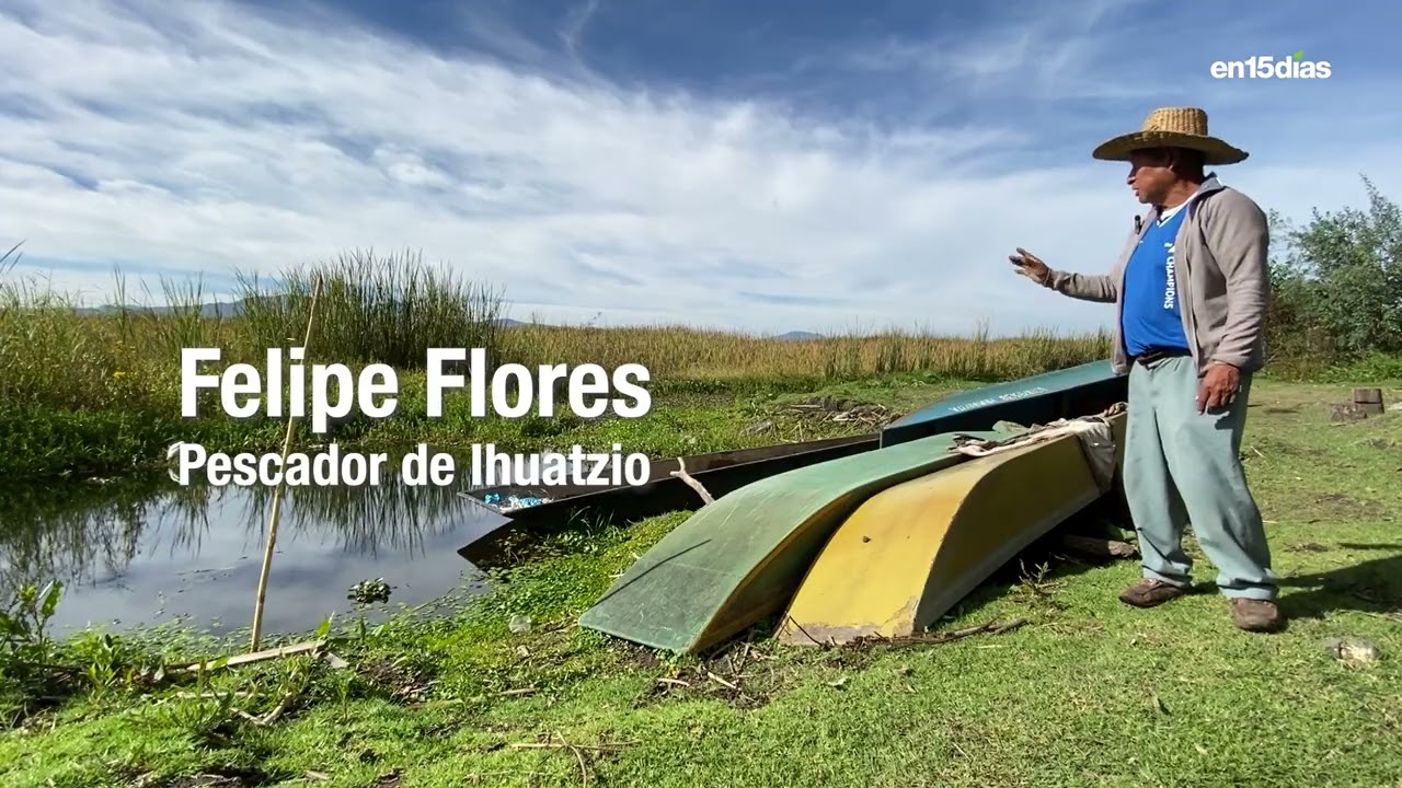 “Nos ganó la maleza”: pescadores de Ihuatzio piden urgente dragado del Lago de Pátzcuaro