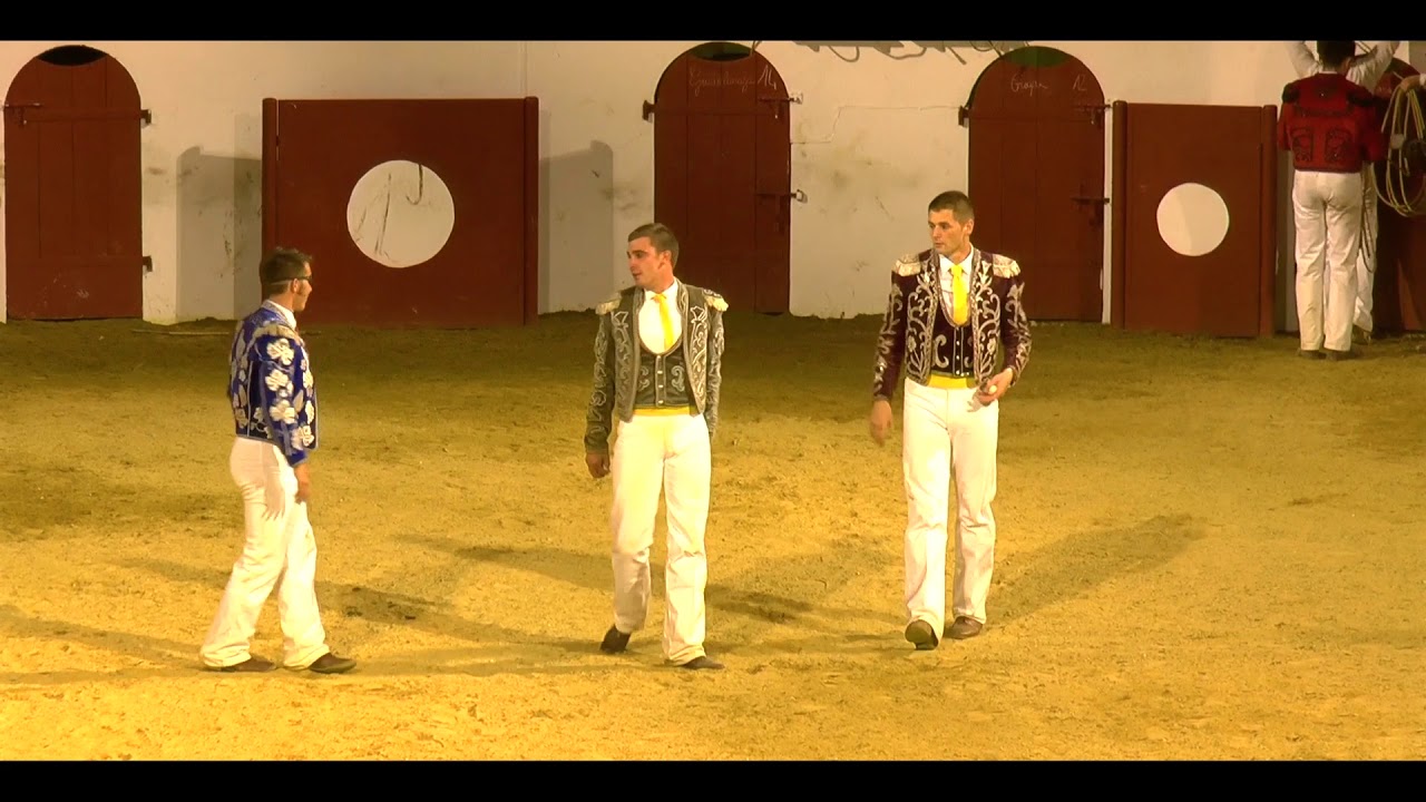 Arène Festiv'Vaches, Course Landaise Barcelonnaise 2017
