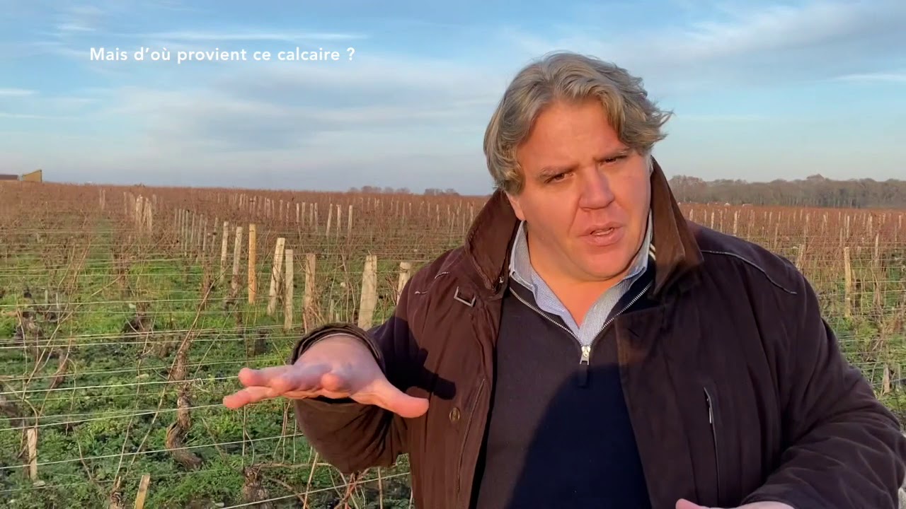 Welcome in my vineyard 18/23 Clos Vougeot