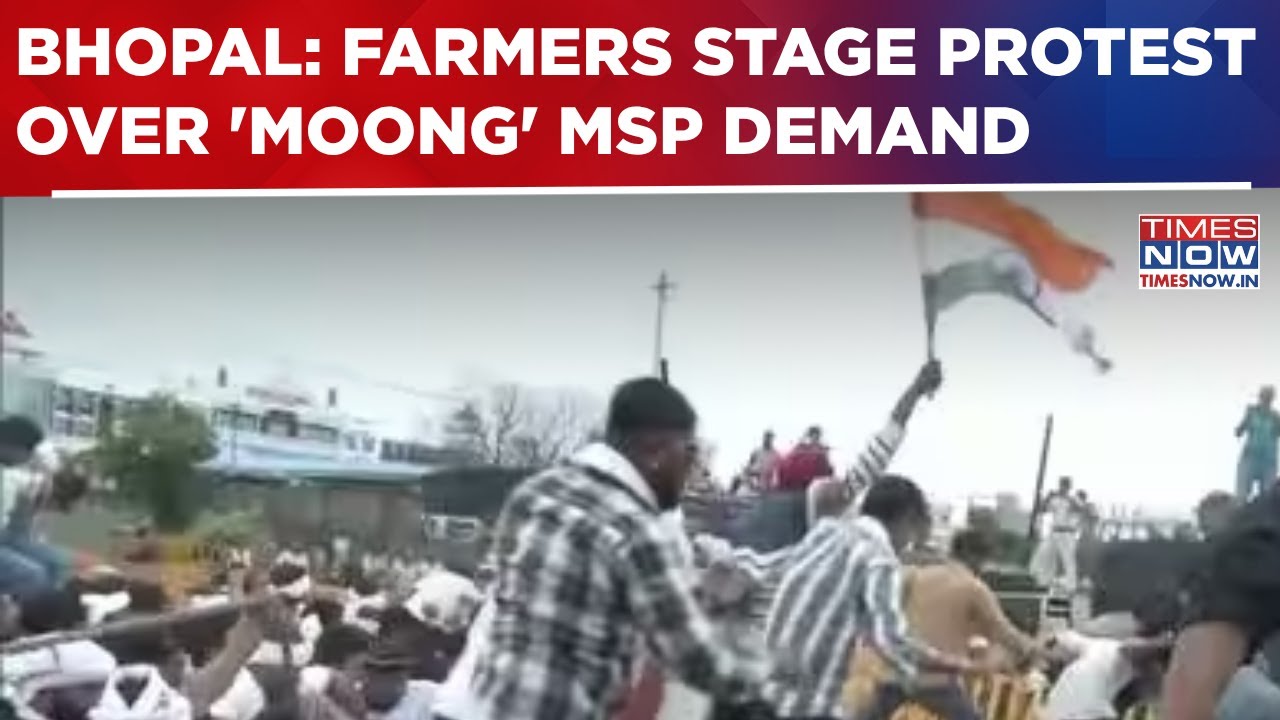 Farmers Stage Overnight Protest in Bhopal, Disrupt Traffic Over 'Moong' Procurement & MSP Demands