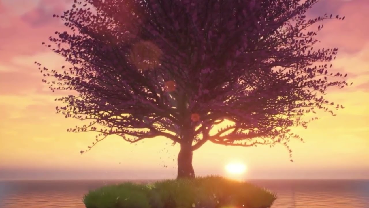 Amanecer con propósito  ✨Llamados por nuestro nombre✨