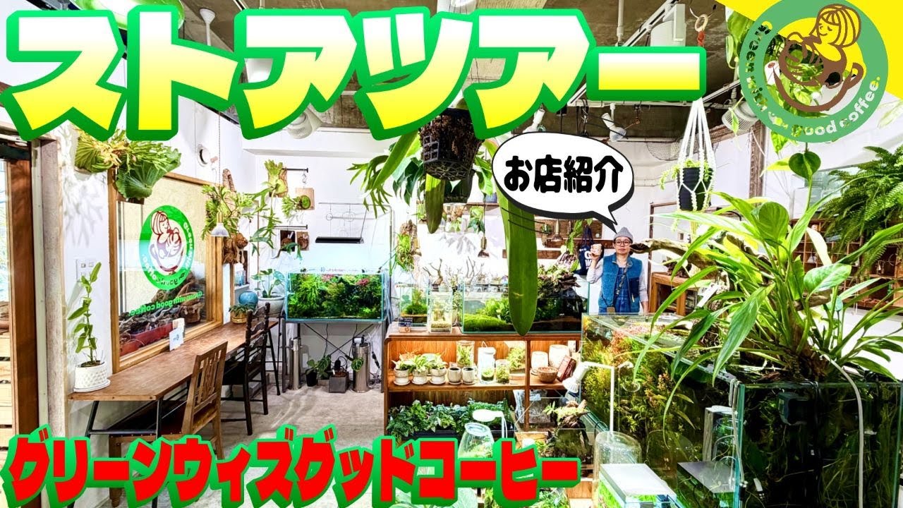 初のストアツアー！グリーンウィズグッドコーヒーをご紹介します（植物とアクアに囲まれすぎたカフェはこんな感じです！）