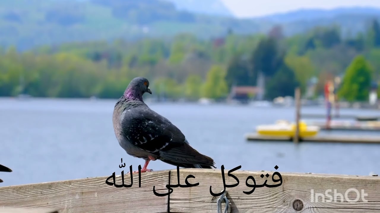 ٦ مارس ٢٠٢٦