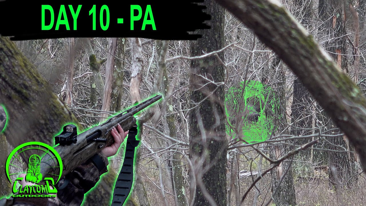 Hunting early season MOUNTAIN BIRDS * Why you should NEVER QUIT EARLY 