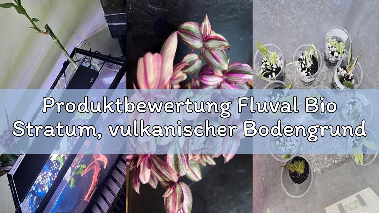 Produktbewertung Fluval Bio Stratum, vulkanischer Bodengrund für bepflanzte Aquarien, 4 Kg