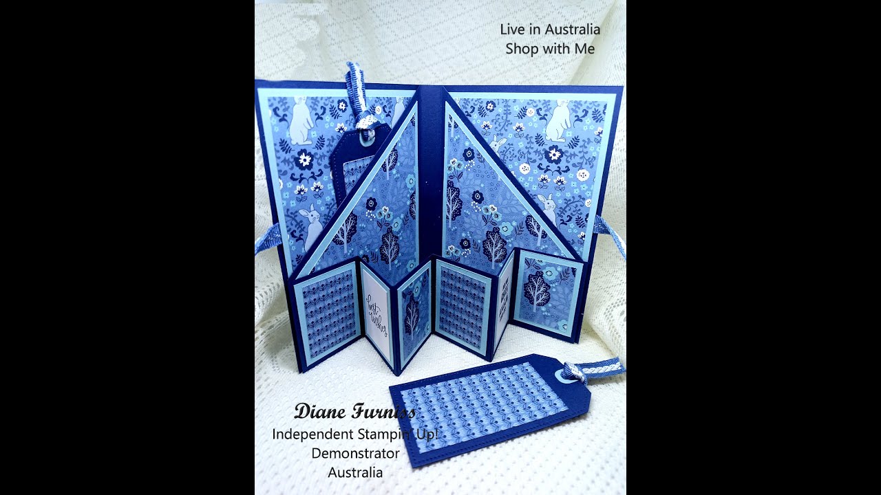 #182 (23) Concertina Pocket Fold Card