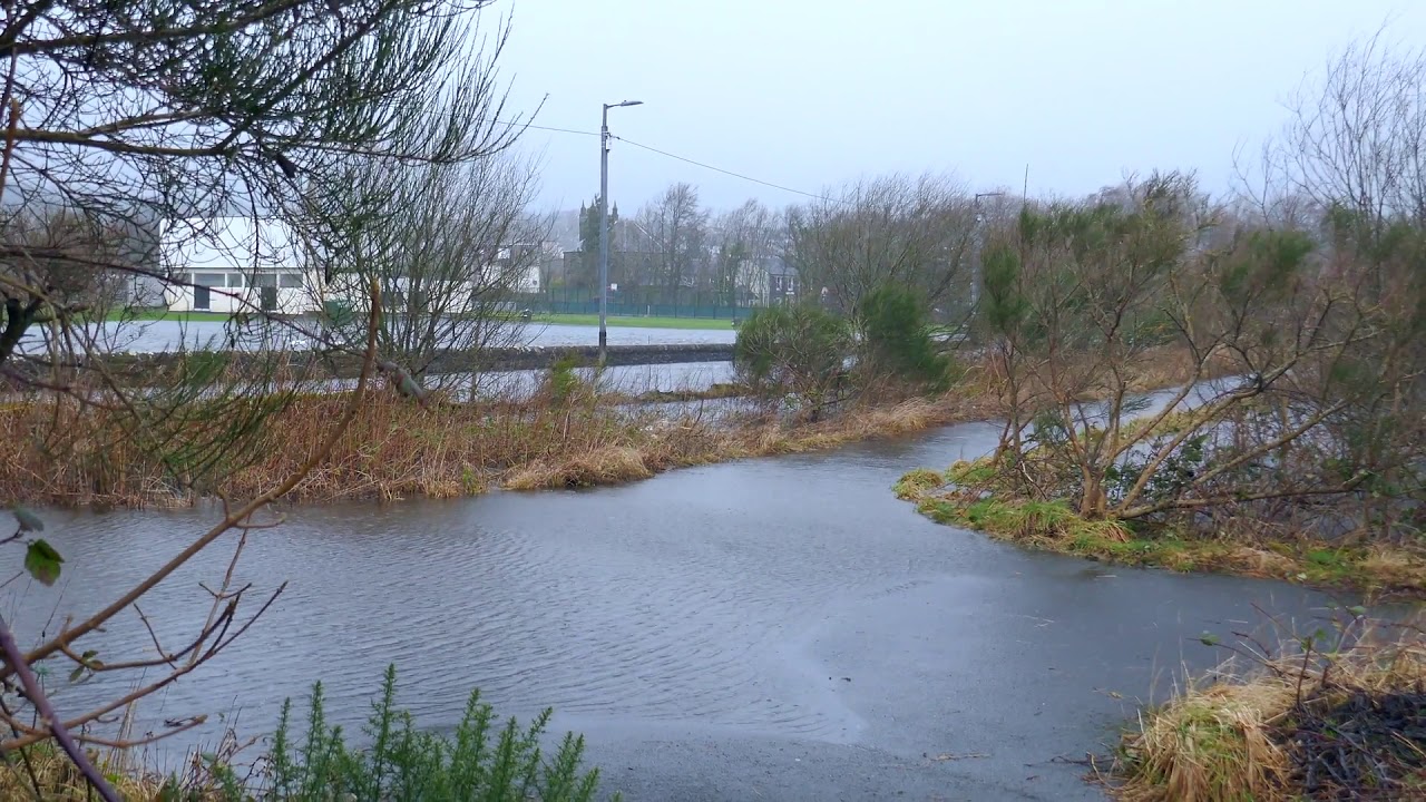 Flood February 2020