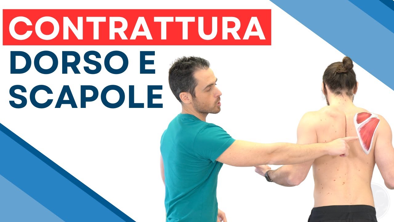 CONTRATTURA muscolare al DORSO e alle SCAPOLE: ecco perchè è causata dal DIAFRAMMA