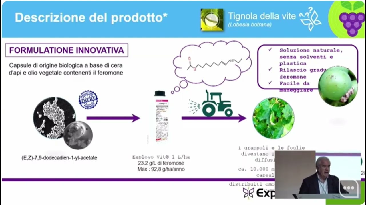 Conférence syngenta exployo vit -  Novembre 23