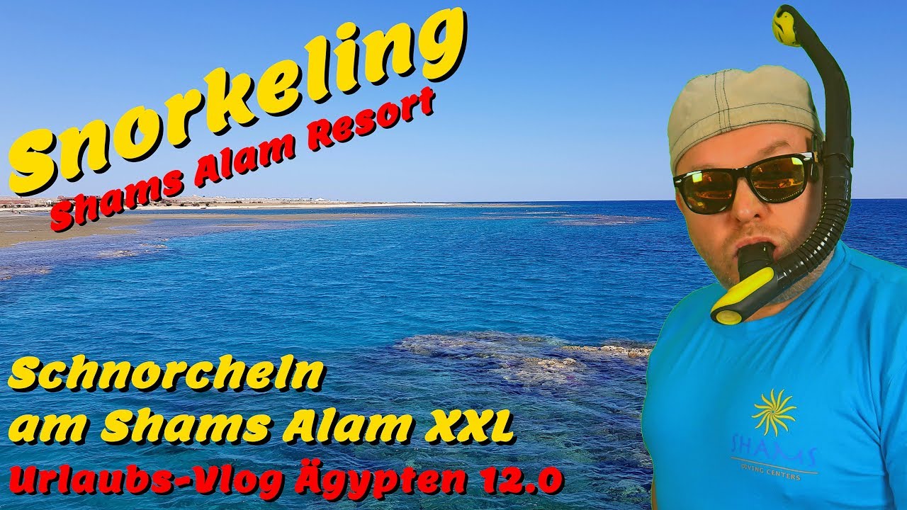 SNORKELING EGYPT - Schnorcheln am Shams Alam Resort XXL 🐢🦑 Marsa Alam 2019