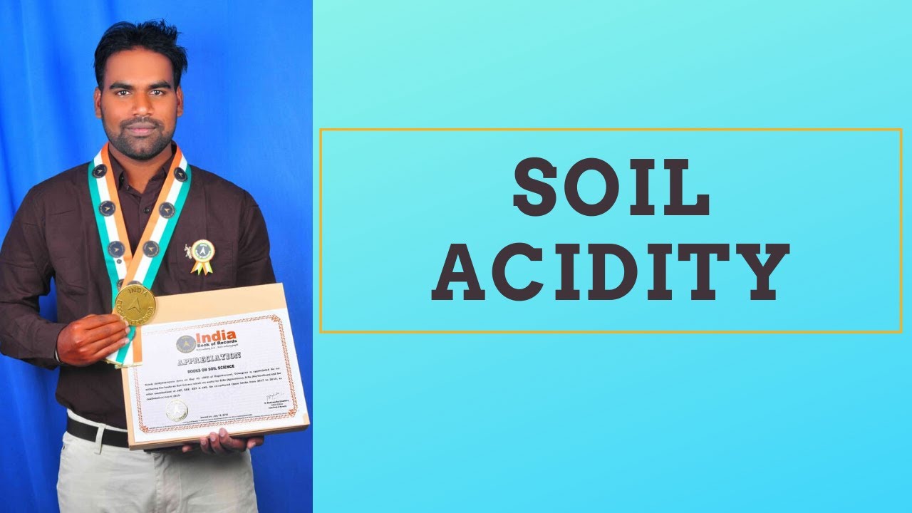 Soil Acidity and Buffering Capacity