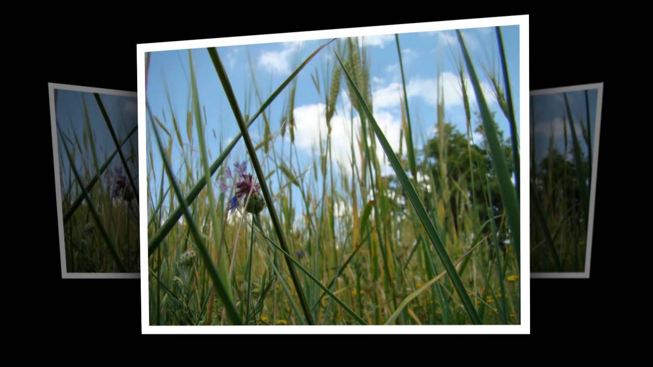 Konya Derbent (Дербент) Yayla ve Dağ Resimleri 16.06.2013 Tarihli