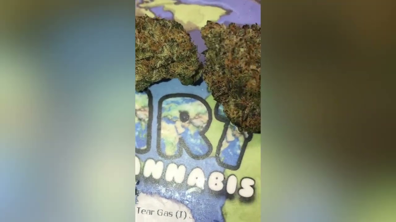 Tear Gas Strain Review (Smk Brk 420)