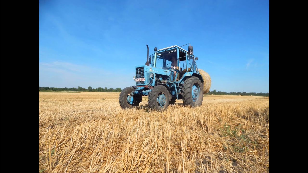 [MTZ 82] Szezonmunkák, avagy élet egy kisgazdaságban 2015 *Hungary*