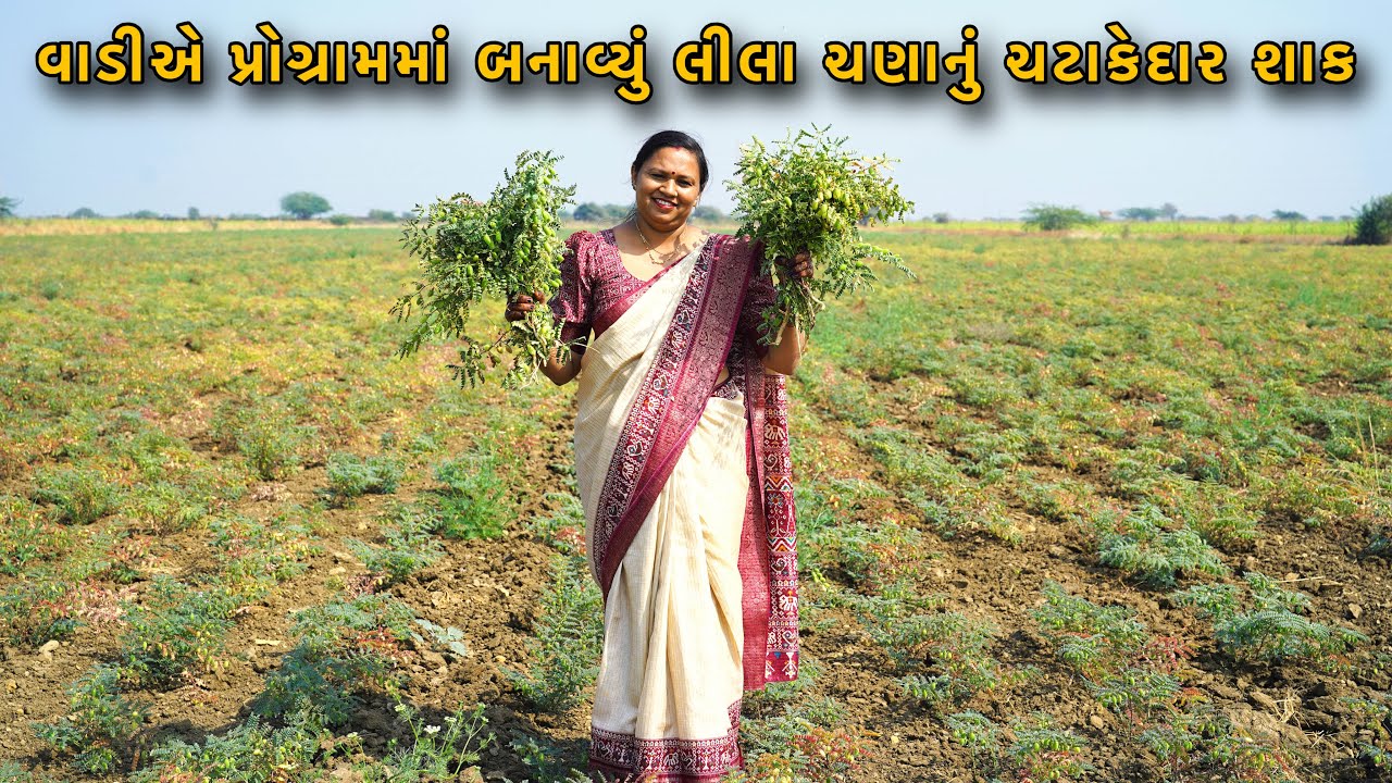 વાડીએ પ્રોગ્રામમાં બનાવ્યું દેશી રીતે લીલા ચણાનું ચટાકેદાર શાક | Lila chana nu shaak