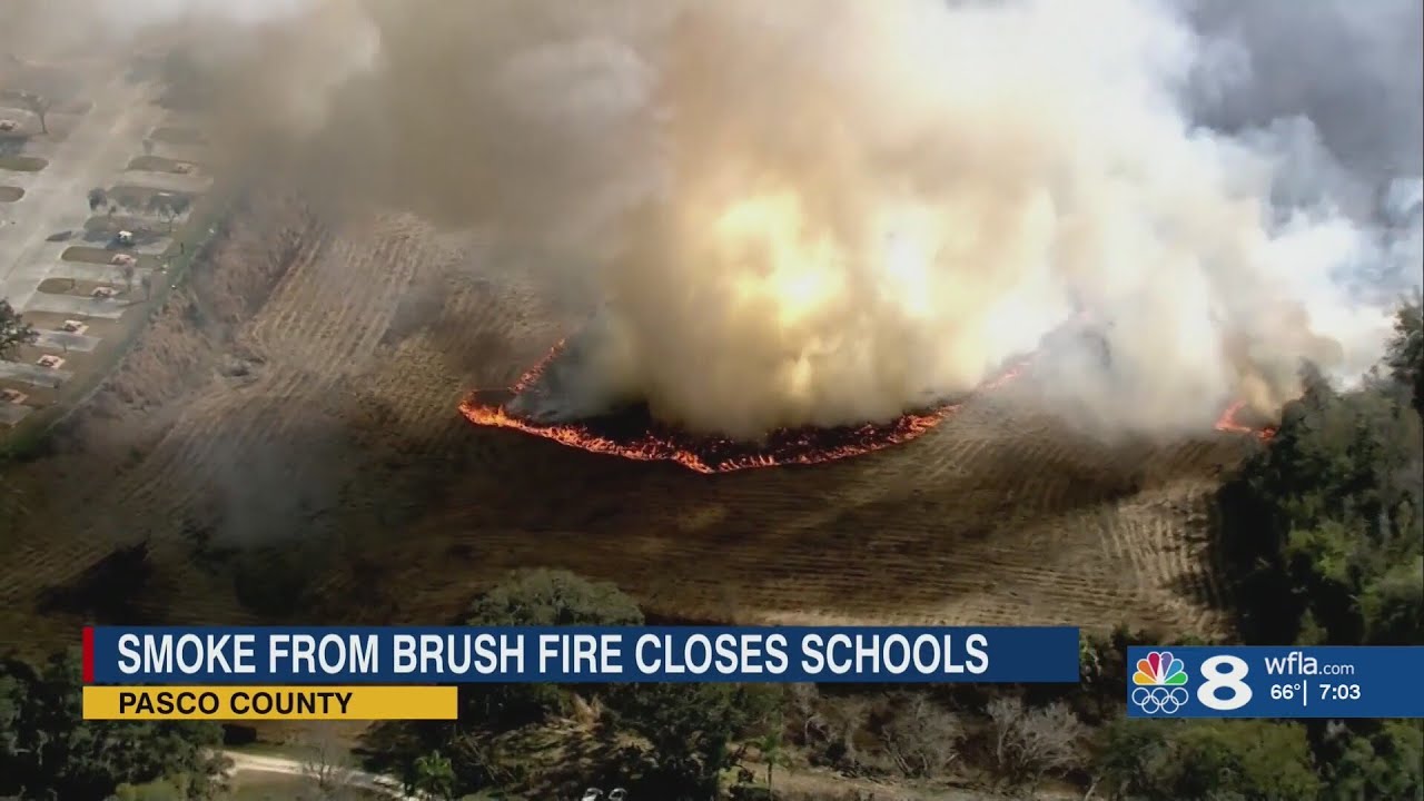 Tampa Bay area at high risk of wildfires